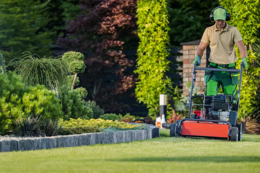 How Proper Yard Maintenance Promotes Healthy Tree Growth Fredericksburg VA How Proper Yard Maintenance Promotes Healthy Tree Growth Fredericksburg VA